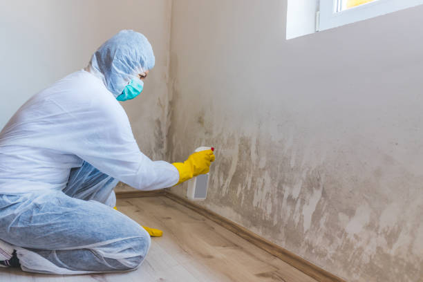 Mold Removal for HVAC Installations